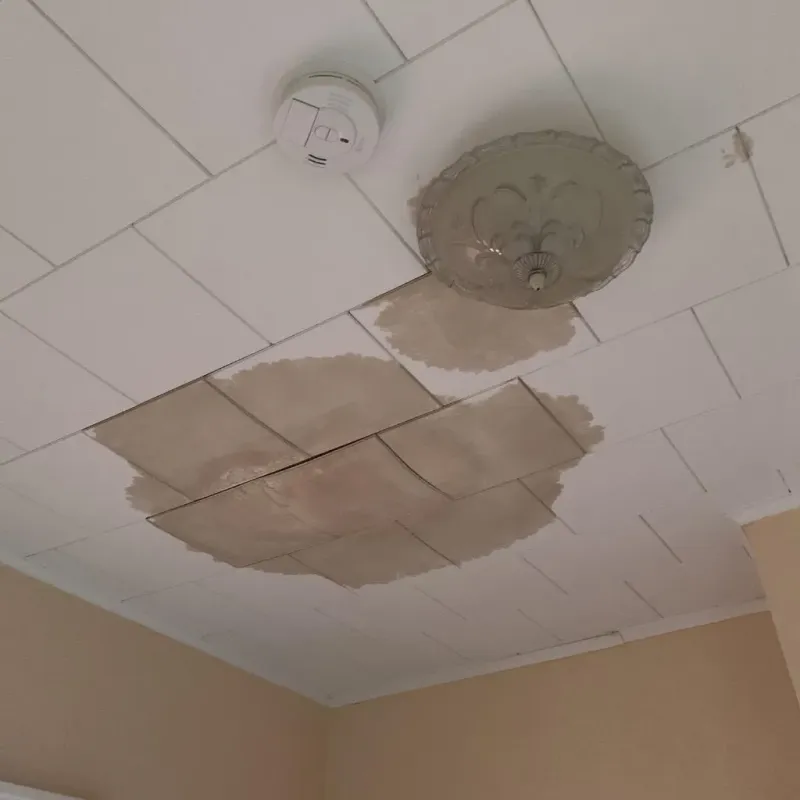 Ceiling Water Damage Repair in Lakota, ND