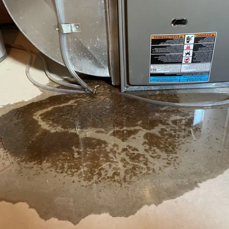 Pipe Burst and Leak Restoration in Lakota, ND