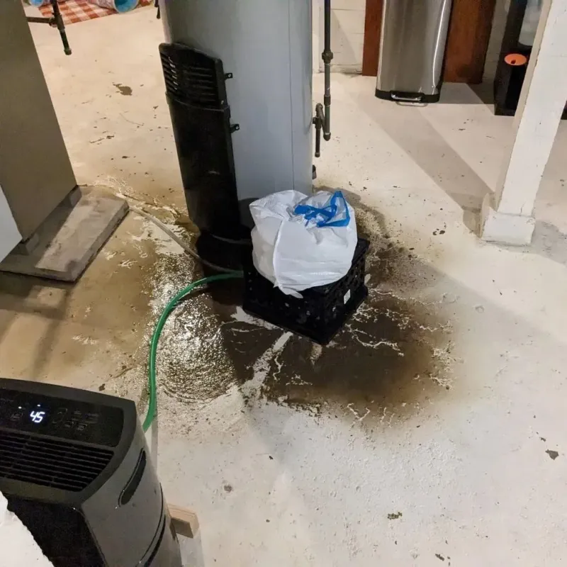 Sewage Backup Cleanup Service in Lakota, ND